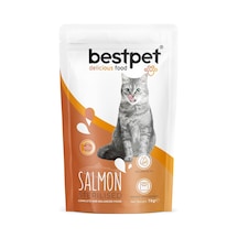 Kısırlaştırılmış Kediler İçin Somon Balıklı Kuru Mama, 1 Kg