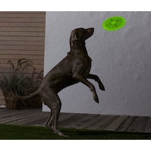 Tchibo Köpekler İçin Frizbi 684735