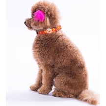 Poodle Köpek Desenli Köpek Boyun Tasması Ayarlanabilir Köpek Tasması S Turuncu