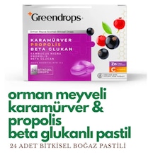 Greendrops Orman Meyvesi Karamürver Propolis Beta Glukan Boğaz Pastili 4 x 24'lü