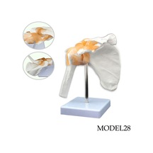Omuz Maketi Model 28