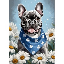 Sevimli Pug Cinsi Köpek Model Mdf Tablo 35cm X50cm