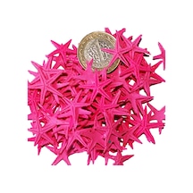 Tahtakale Toptancı Polyester Deniz Yıldızı Minik Boy 0.5 Cm- 1.5 Cm 100 Adet Fuşya