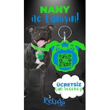 Petjoo 17.Nany Mavi-Yeşil Qr'lı Köpek Künyesi