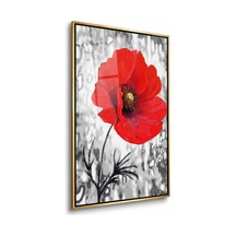 Gri Dokulu Fonda Kırmızı Gelincik Gold Çerçeveli Cam Tablo