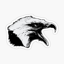 Araba Için Kartal Oto Sticker Yapıştırması Etiket 17Cm D5