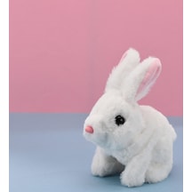 Yürüyen, Sesli Hareketli Sevimli Peluş Bunny Tavşan - Sweet Bunny 001