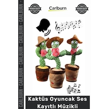 Özel Üretim Konuşan Dans Eden Sese Duyarlı Eğitici Peluş Bebek Kaktüs Oyuncak Ses Kayıtlı Müzikli