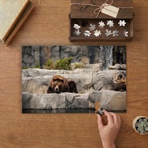 Kayalıklarda Yatan Boz Ayı Tasarımı 240 Parça Ahşap Puzzle Ahşap Kutuda Mpy40430