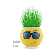 Çim Adam Saksı Emoji Figürlü 1 Adet Çok Renkli