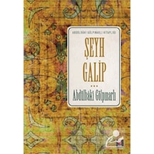 Şeyh Galip - Abdülbaki Gölpınarlı - Kapı Yayınları