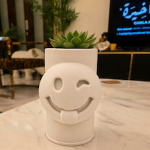 Bezos 3d Baskı Emoji Planter - Göz Kırpan Yüzlü Sukulent Saksısı-beyaz Mmbz Standart