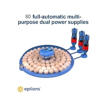 80 Yumurta Kapasiteli Otomatik Çiftlik Kuluçka Makinesi : Yumurta, Bıldırcın, Civciv Ve Kanatlılar İçin