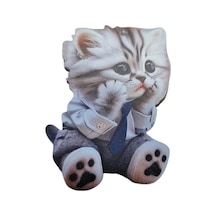 Kedi Amahtarlık Ve Araba Dikiz Ayna Süsü Sevimli