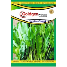 Goldgen İnce Yaprak Tere Tohumu 1 Paket