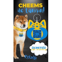 Petjoo 18.Cheems Mavi-Sarı Qr'lı Köpek Künyesi