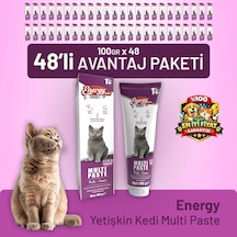 Yetişkin Kedi Multi Paste 100 G - 48 Adet