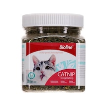 Catnip Kedi Otu 20 Gr