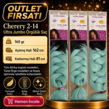 3 Paket - Afrika Örgüsü Ve Rasta İçin Sentetik Ombreli Saç 2-14 Çok Renkli