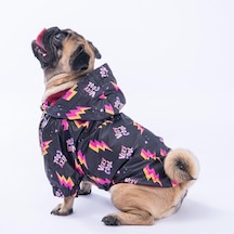 Pawstar Cool Yağmurluk Küçük Ve Orta Irk