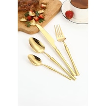 Çelik 24 Parça 6 Kişilik Gold Yemek Kaşık Çatal Bıçak Set Cin738sr Çok Renkli