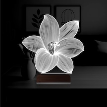 Luvivia Orkide Çiçek 3d Lamba - Masa Gece Lambası V2 Şeffaf