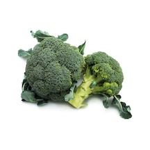 20 Adet Sproutıng Broccolı Tohumu