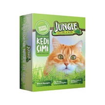 Jungle Fileli Kedi Çimi