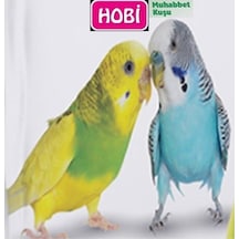 Hobi Ekonomik Muhabbet Yemi 1 Kg