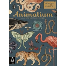 Animalium Sku: Zeusstka33ec5e1bb