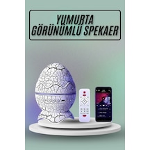 Çok Renkli