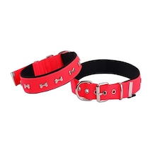 Actirex Neon Kemik Desenli Köpek Boyun Tasması Pembe M 2.5 x 42 - 50 Pembe