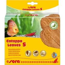 Sera Akvaryumlar için Catappa Yaprağı S 14 CM (10 Adet)