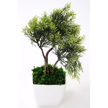 Yapay Çiçek Deposu Melamin Saksıda Yapay Çam Ağacı 28 Cm Açık Yeşil