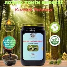 Bozkır Tahin Merkezi Doğal Çam Kozalağı Köy Pekmezi 800 G