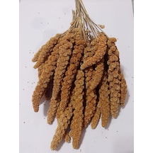 250 G