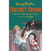 Secret Seven: Fun For The Secret Seven: Book 15