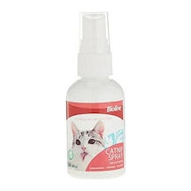 Northcity Catnip Kedi Otu Nanesi Spreyi 50 Ml