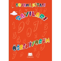 Sayıları Öğreniyorum - Yqbx-636059