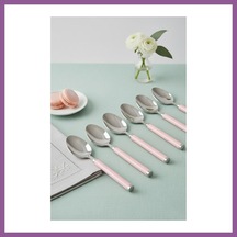 Bezos 6 Lı Paslanmaz Çelik Tatlı Kaşığı Seti Somon Pembe Saplı 15 Cm Rengaren