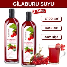 Hanzade Bitkisel Gilaburu Suyu Nektarı Şekersiz 2 x 1 L
