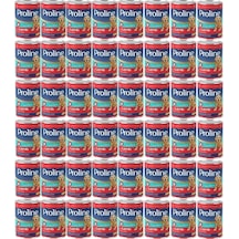 Pro Line Kuzu Etli Yetişkin Köpek Konservesi 48 x 400 G