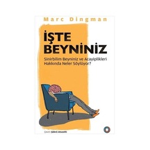 İşte Beyniniz: Sinirbilim Beyniniz Ve Acayiplikleri Hakkında Neler Söylüyor