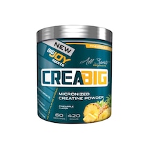 Bigjoy Sports Bigjoy Sports Creabig Powder Creatine Micronized Amino Asit Ananas 420G