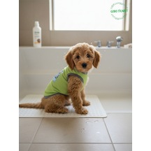 Yeşil Beni Yıka Baskılı Kedi Ve Köpek Kıyafeti Evcil Hayvan Tişörtü Elbisesi Medium/m/beden 2