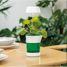 Akıllı Otomatik Sulamalı Ve Led Işıklı Hızlı Bitki Yetiştirme Saksısı Usb Şarjlı Masaüstü Saksı -