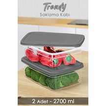 Meleni Home 2 Adet Dikdörtgen Erzak Saklama Kabı Mikrodalgaya Uygun Düzenleyici Organizer 2700 ML Gri