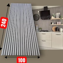 100x240