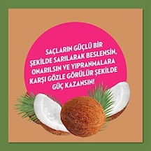 Doğanın Enerjisi Saç Bakım Şampuanı Hindistan Cevizi Yağı Onarıcı & Yıpranma Karşıtı 400 Ml 4 Paketi