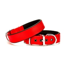 Köpek Tasması Softlu 3 Cm X 65 Cm Kırmızı Çok Renkli